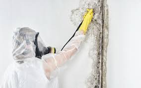 Best Dehumidification Services  in Marbleton, WY